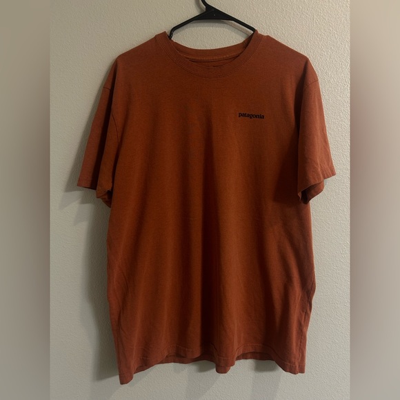 Patagonia Other - Patagonia Heather Orange Graphic Fit T-Shirt Size Large